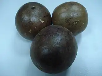 Плоды Siraitia grosvenorii