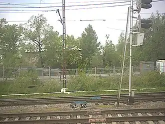 Вид на пути станции Фрязево из окна электропоезда ЭД4М