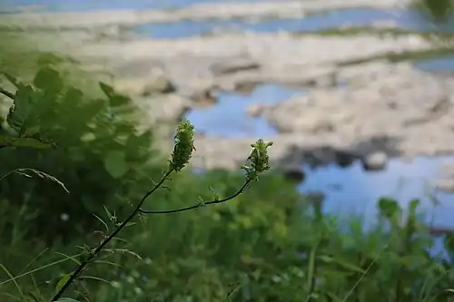 На фоне речной долины