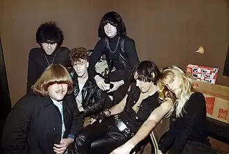 The Fuzztones в 1984 году.