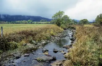 Верхнее течение реки на польско-чешской границе около Лясувки