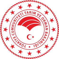 Изображение логотипа