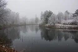 Пруд Гагаринского парка в тумане