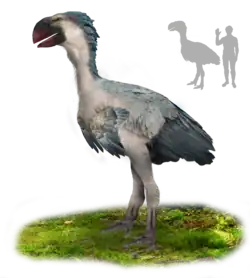 Gastornis gigantea
