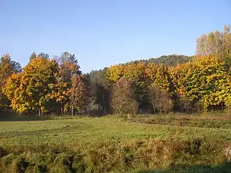 Осень в Рынажево (Rynarzewo (пол.))