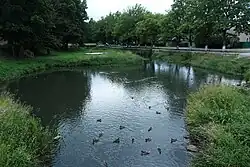 Река Гдовка