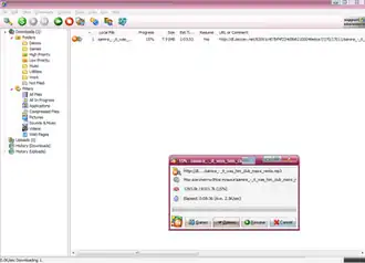 Скриншот программы GetRight