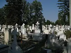 Могилы на военном кладбище Генча