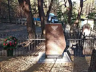 Памятник евреям Петрикова