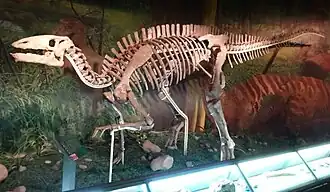 Реконструкция