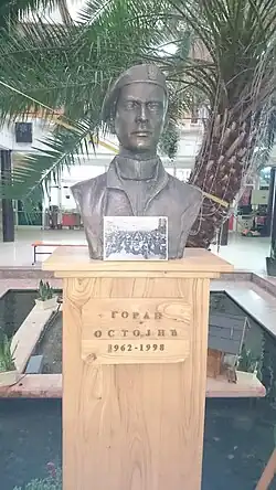 Памятник Горану Остоичу в Ягодине