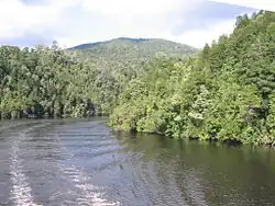 Изгиб в нижнем течении реки Гордон