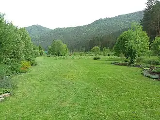 На территории Горно-Алтайского ботанического сада