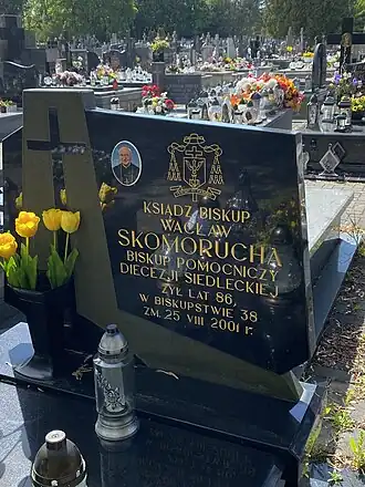 Вацлав Скоморуха