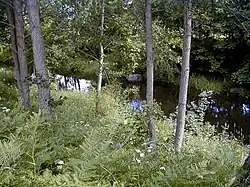 Вид на реку летом 2002 года