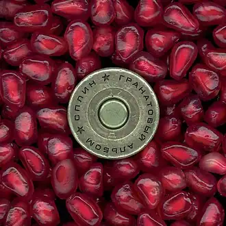 Обложка альбома «Сплин» «Гранатовый альбом» (1998)