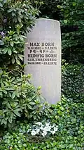 Борн, Макс