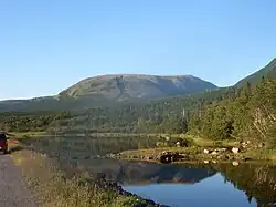 Гора Грос-Морн