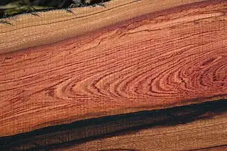 Древесина от вида Guibourtia coleosperma