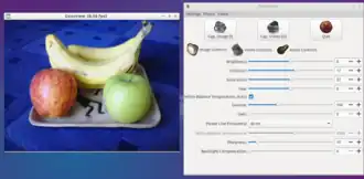 Скриншот программы Guvcview