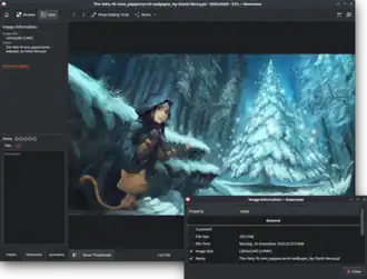 Скриншот программы Gwenview