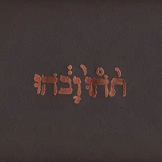 Обложка альбома Godspeed You! Black Emperor «Slow Riot for New Zerø Kanada» (1999)