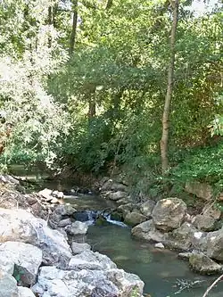 Эрен в Буше