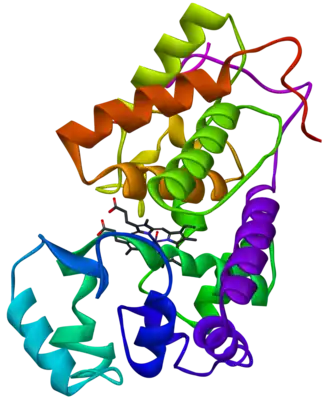 Horseradish peroxidase C1