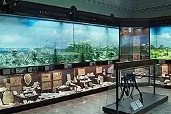 Зал № 17 «Развитие жизни на Земле»