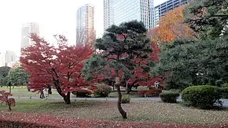 Хамарикю осенью