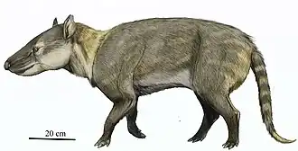 Гарпаголест