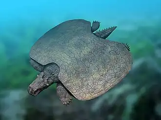 Реконструкция