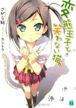 Обложка первого тома ранобэ