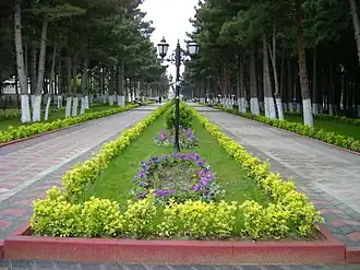 Цветочная аллея в парке им.Г.Алиева