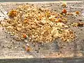Опилки из гнезда пчелы-плотника