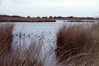 Вид на озеро с южного берега весной 2002 года