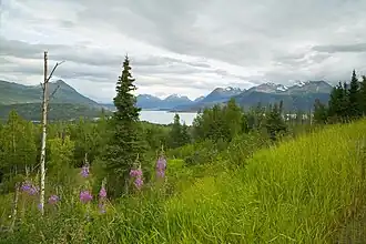 Фото августа 2006 года (FWS).