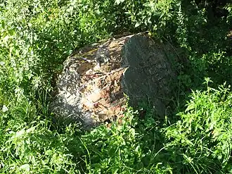 Руины костёла бернардинцев