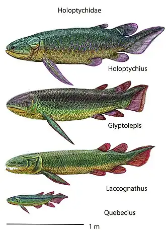 Несколько представителей семейства