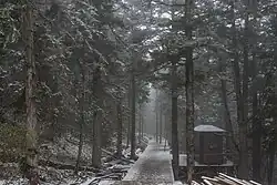 Темнохвойный лес в заповеднике Хуанлун