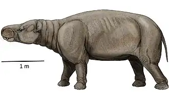 Реконструкция