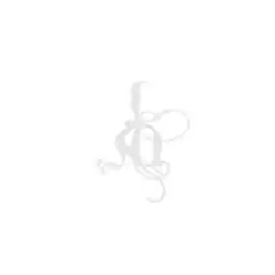 Обложка альбома Джона Зорна «IAO (Music in Sacred Light)» (2002)