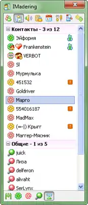 Скриншот программы IMadering