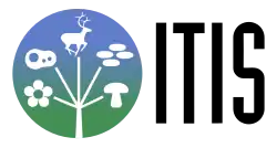 Изображение логотипа