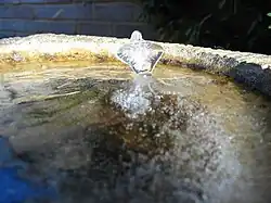 Шип, сформированный после сильного ночного мороза