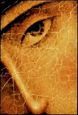 Изображение логотипа