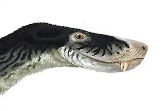 Иктидозухоиды