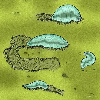 Реконструкция