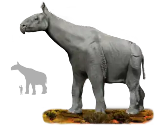 Реконструкция