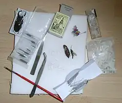 Инструменты для создания энтомологической коллекции